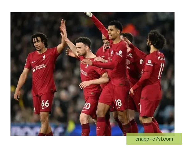 伯恩利战利物浦特雷索尔伤停 伯恩利战利物浦特雷索尔伤停