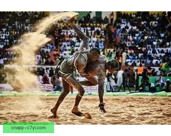 帕普盖伊加时绝杀塞内加尔夺冠 帕普盖伊加时绝杀塞内加尔夺冠