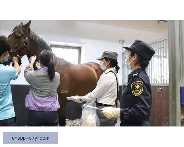 港马主办回应抱婴参赛强制退赛