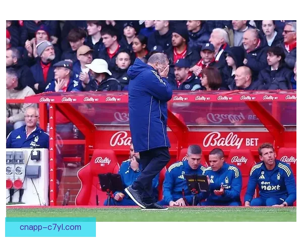 官方诺丁汉森林租借卢卡含买断 官方诺丁汉森林租借卢卡含买断