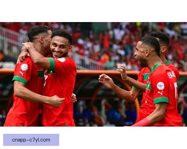 非洲杯扩军二十八队规则变局风 非洲杯扩军二十八队规则变局风