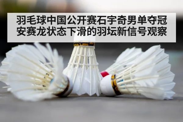 badminton shuttlecock court
