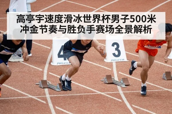 高亭宇速度滑冰世界杯男子500米冲金节奏与胜负手赛场全景解析